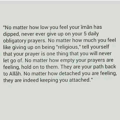 U U U Ouzu U O U U U U Uzu U U U A Z Posted On Muslims