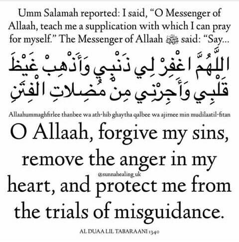 U U U Ouzu U O U U U U Uzu U U U A Z Posted On Muslims
